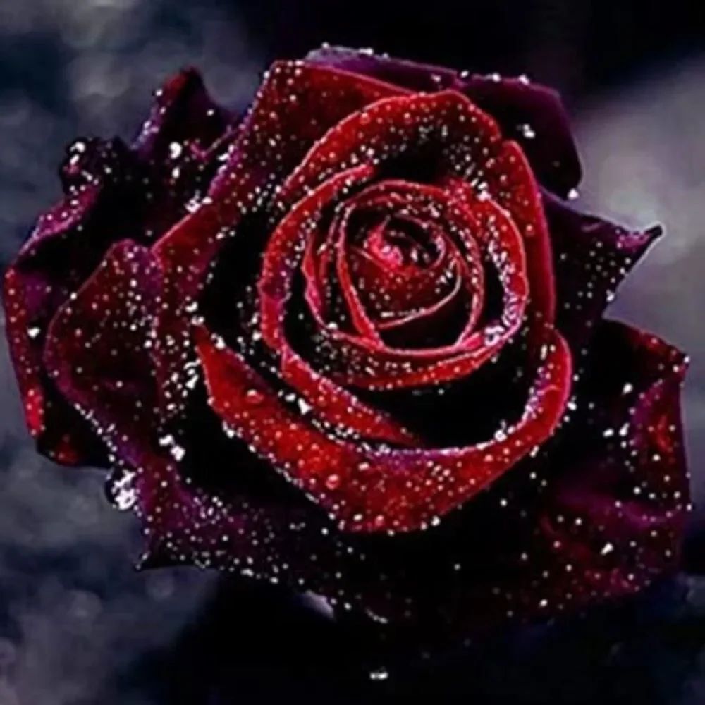 DEEP RED Rose Diamond Painting!